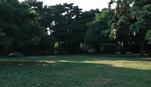 系统集成应用场景分析与选型建议